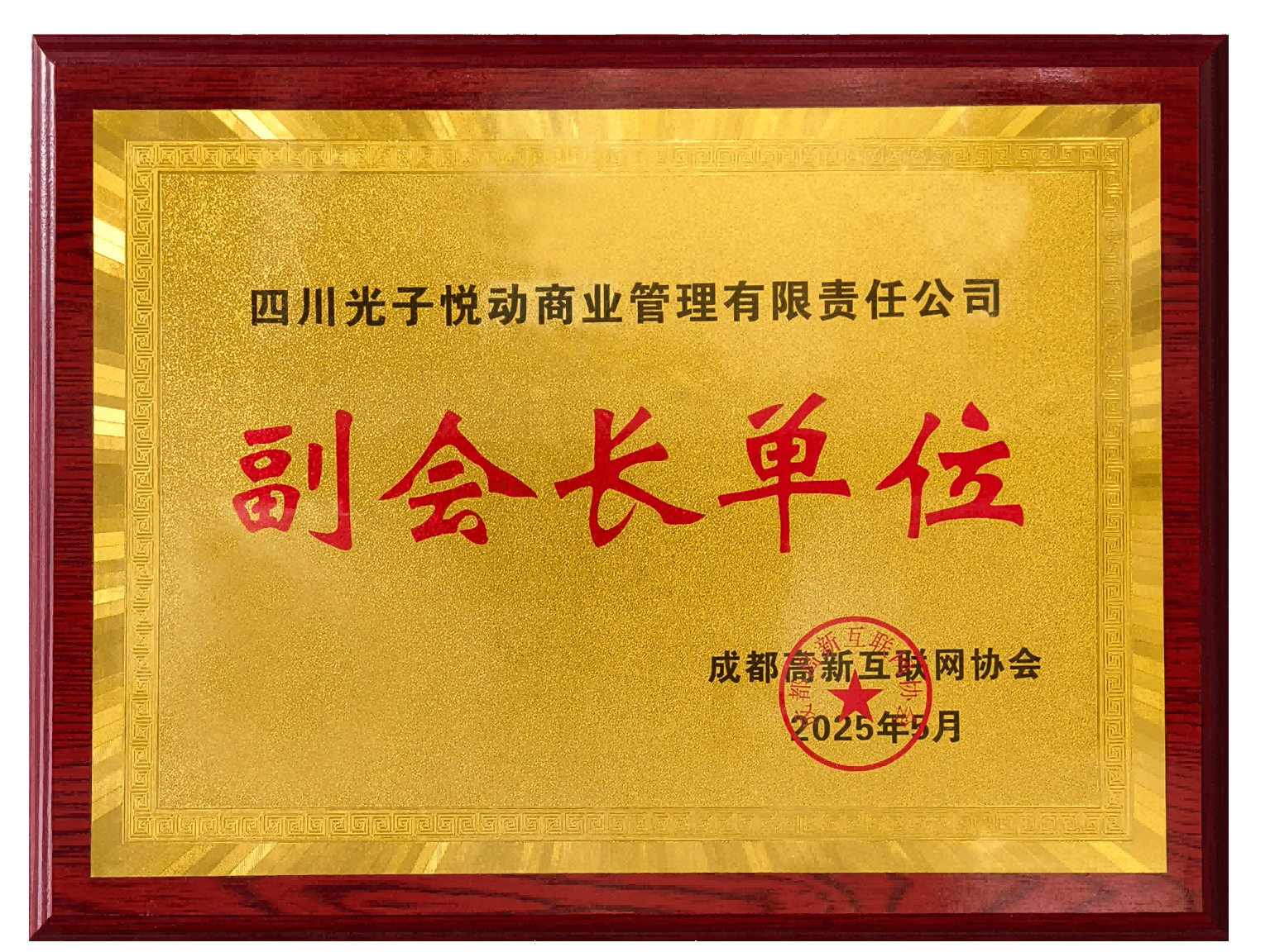 成都高新互联网协会副会长单位