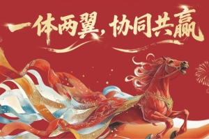 固&ldquo;一体&rdquo;之本，展&ldquo;双翼&rdquo;之力&mdash;&mdash;光子悦动2026&ldquo;一体两翼，合作共赢&rdquo;新春年会圆满举行